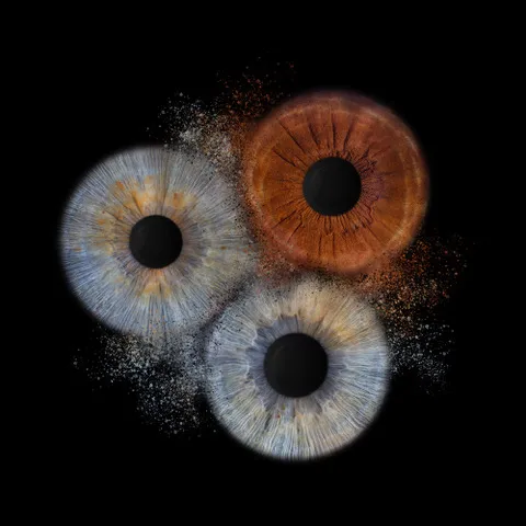 Familien-Bild-Iris-Clash