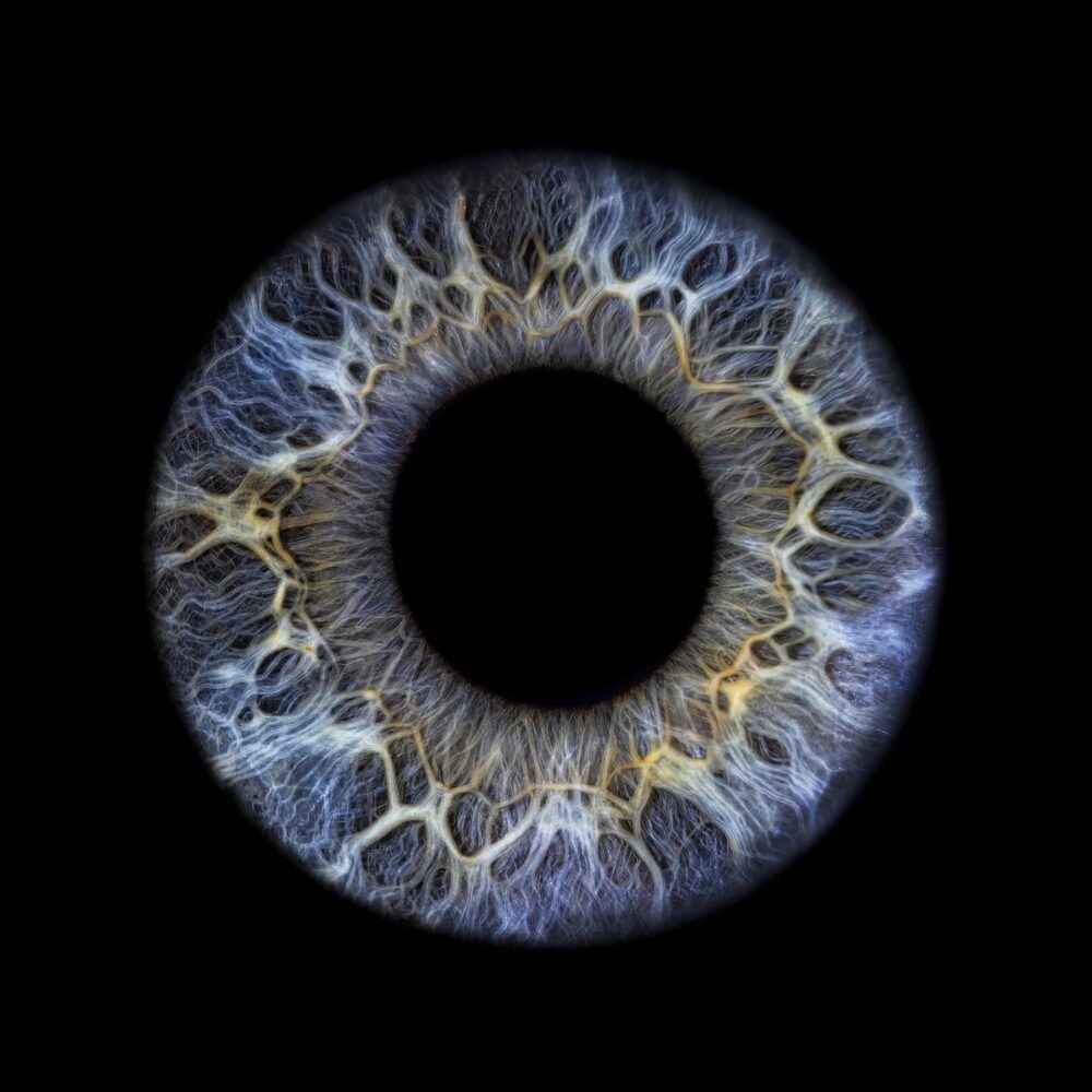 anmuht-iris