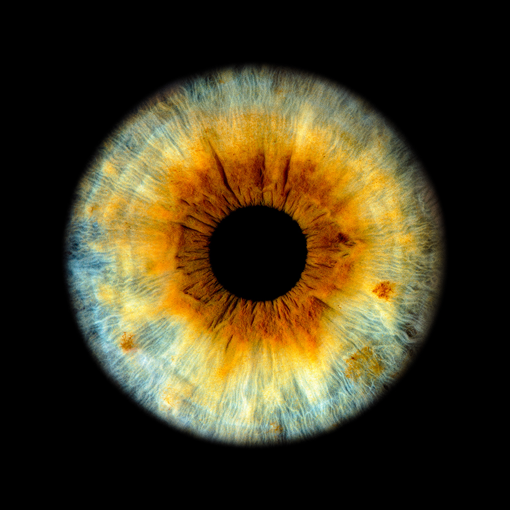 Iris Foto Luzern