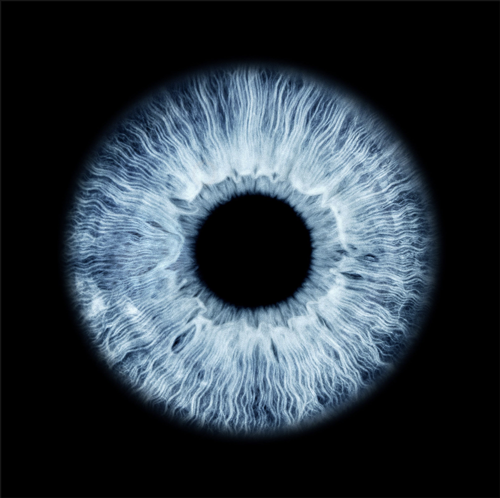 Das Auge als Motiv – Iris und Pupille im Detail
